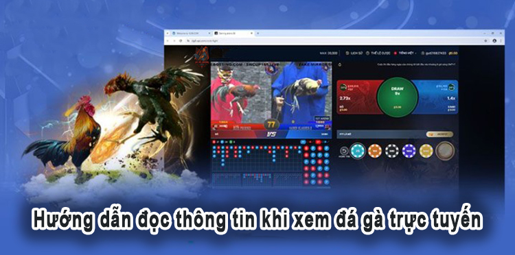 Hướng dẫn đọc thông tin khi xem đá gà trực tuyến